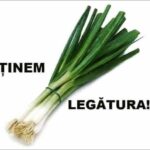 tinem legatura